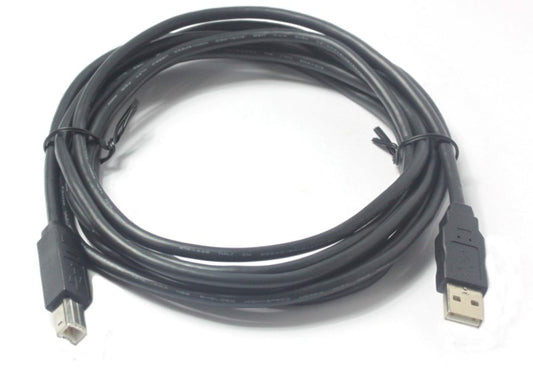 USB 2.0 Cable 10 Foot Type A Male to Type B Male 